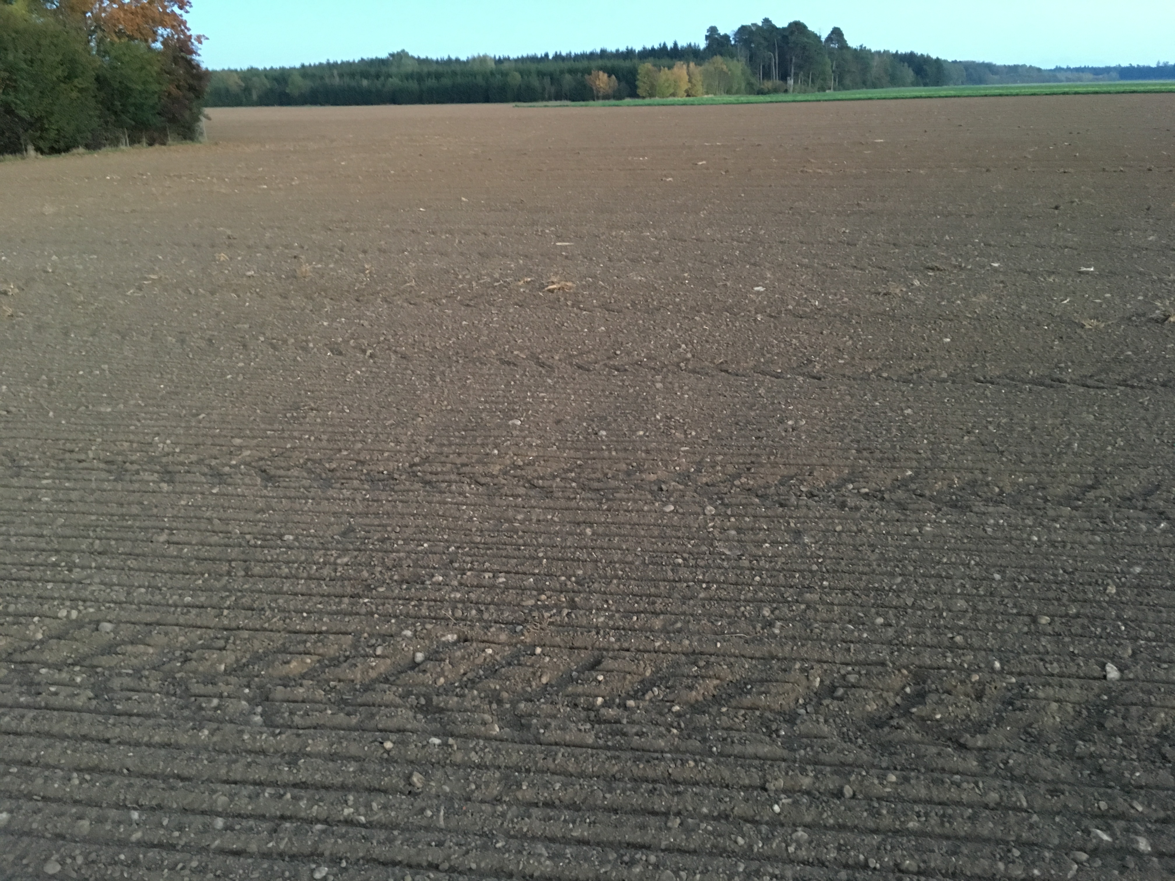 The start – planning the first ODF cluster